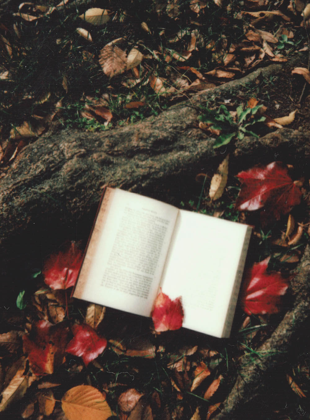Love Reading Shayari And Urdu Poetry_ Presenting Booxoul's 5 Best Hindi Poetry Book Recommendations