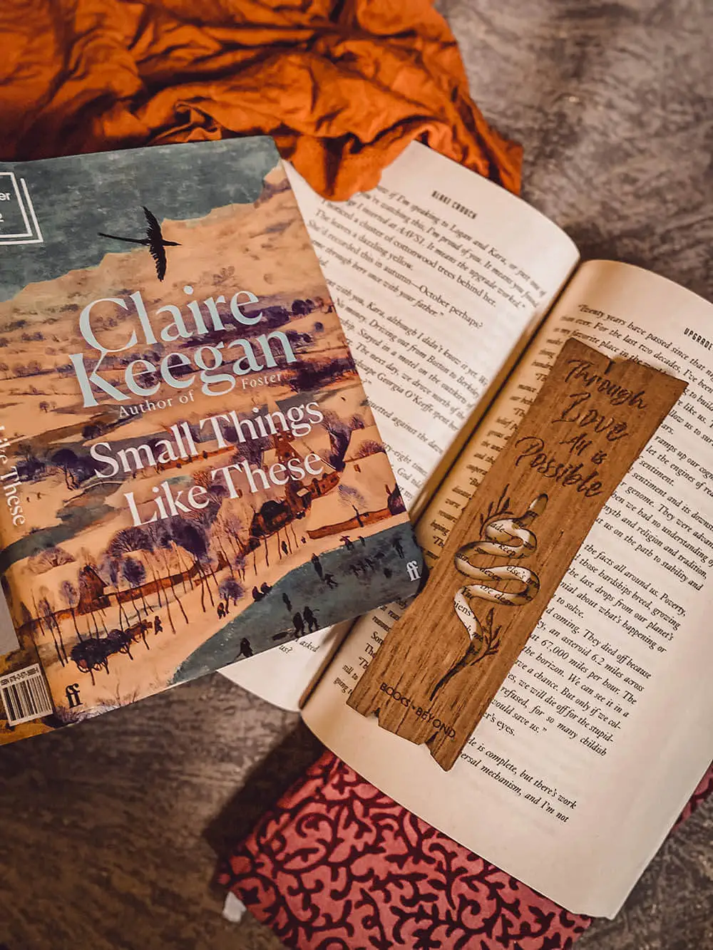 Book-Review-of-Booker-Prize-Shortlisted-Small-Things-Like-These—a-Labyrinthine-of-Emotions-and-Coura
